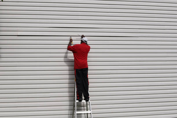 Best Stone Veneer Siding  in Farmville, VA