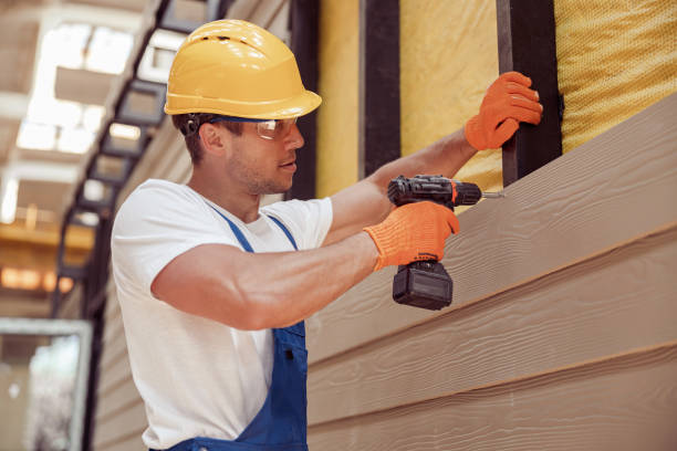 Best Siding Painting and Refinishing  in Farmville, VA